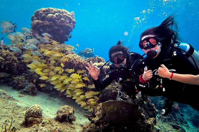 Discover Scuba Diving in Cozumel Paradise Reef - The Surface Break: Fruit, Cookies, and a Second Chance to Relax