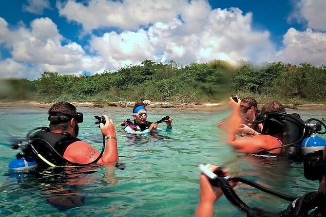 Discover Scuba Diving in Cozumel Paradise Reef - What the Reef Can Add to Your Cozumel Visit