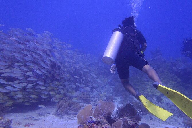 Discover Scuba - The National Reef Park of Puerto Morelos