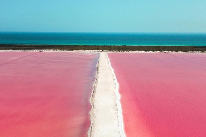 Discover the FABULOUS PINK WATERS in the Caribean - Who will enjoy this day most?