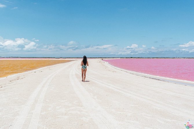 Discover the FABULOUS PINK WATERS in the Caribean - Should you book the Las Coloradas and Rio Lagartos tour?