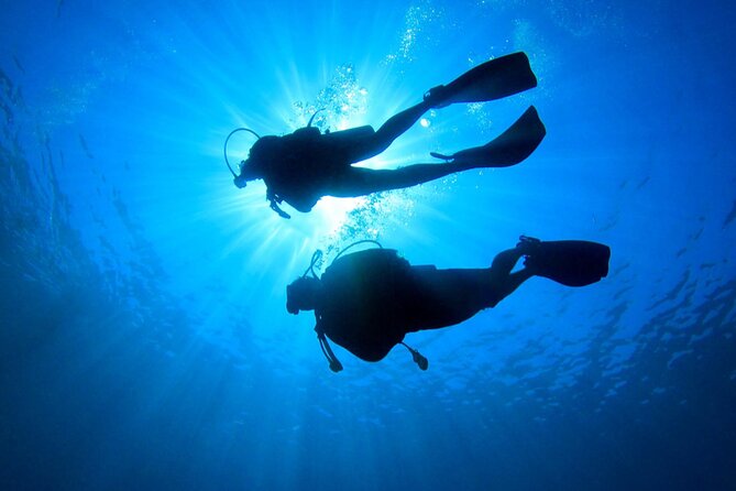 Discovery Scuba Dive. - From Costa Maya Port to Doctor Dive