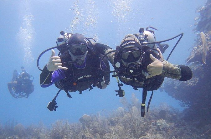 Discovery Scuba Dive. - What Makes the Reef Session Special