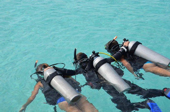 Discovery Scuba Dive. - The Human Side of the Instruction