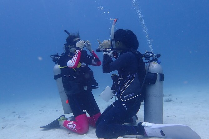 Discovery Scuba Dive. - Timing, Fitness, and Comfort