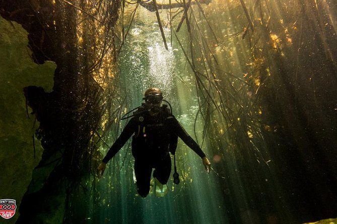 Discovery Scuba Diving !! - From training to the Puerto Morelos reefs