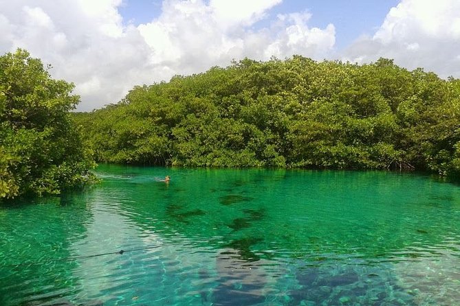 Discovery Scuba Diving !! - Meeting points and the Puerto Morelos setting