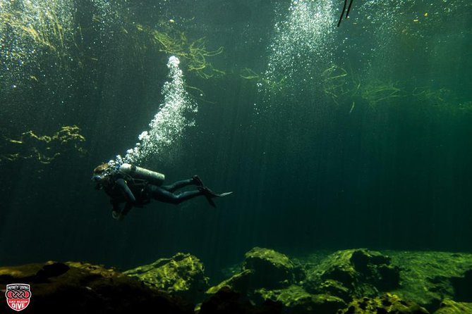 Discovery Scuba Diving !! - Why a group of eight is useful