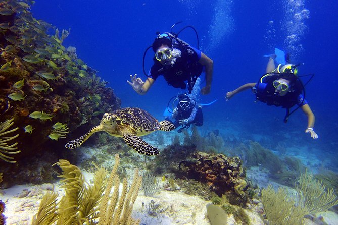Diving in the Mexican Caribbean for Beginners | 2 Tanks 2 Dives | All Inclusive - Why the group size changes the experience