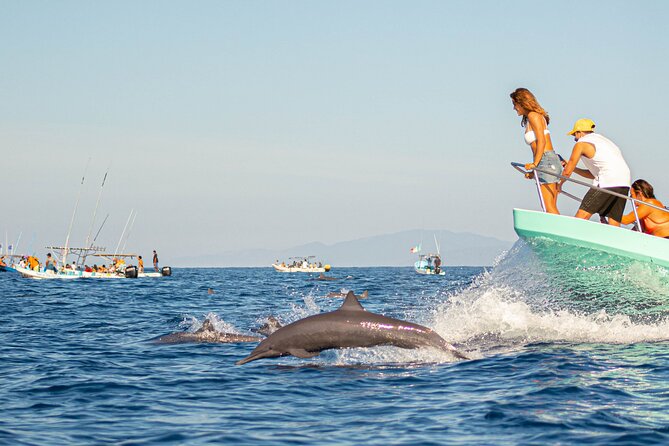 Dolphin Watching Tour - What makes this morning on the water worthwhile