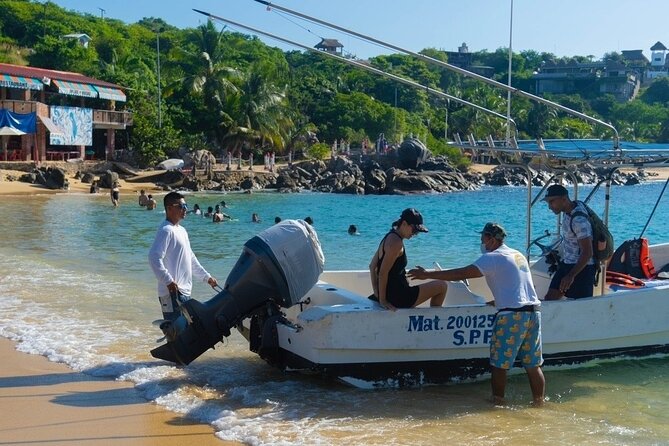 Dolphin Watching Tour - The optional swim and snorkeling experience