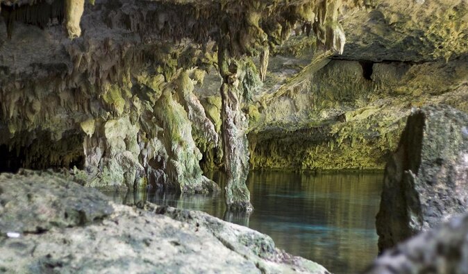 Dos Ojos Cenote Cavern Dive- The Barbie Line and The Bat Cave - Key points at a glance