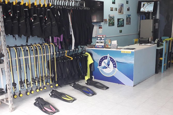 Dos Ojos Cenote Cavern Dive- The Barbie Line and The Bat Cave - Guidance, equipment, and the small-group advantage