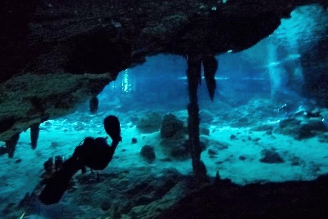 Dos Ojos Cenote Cavern Dive- The Barbie Line and The Bat Cave - What cavern scuba means at Dos Ojos