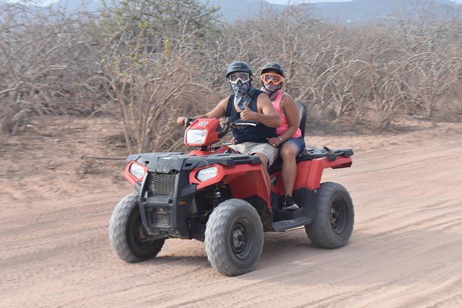 Double ATV Migriño Beach & Desert - Cactus country with a Baja sense of place