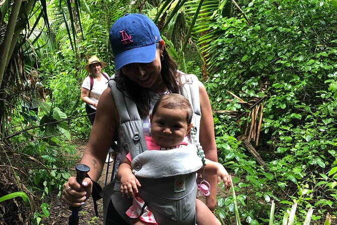 EcoHike to private beach, Jungle Walk to see plants & animals - What you learn under the trees