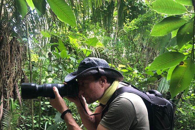 EcoHike to private beach, Jungle Walk to see plants & animals - The quiet beach at the end of the trail