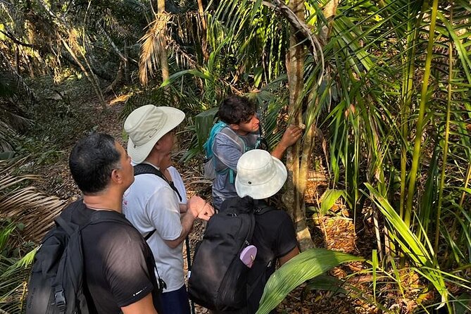 EcoHike to private beach, Jungle Walk to see plants & animals - What the $33.22 price really covers