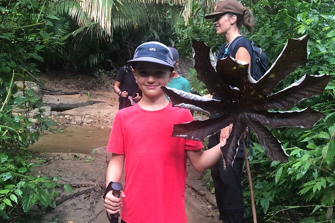 EcoHike to private beach, Jungle Walk to see plants & animals - Who should book this walk?
