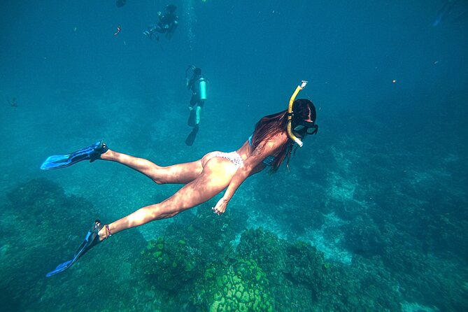 El Cielo Cozumel Snorkel Private Boat + Food + Drinks + Beach - Why the food matters