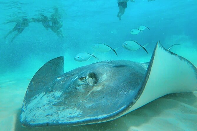 El Cielo Cozumel Snorkel Private Boat + Food + Drinks + Beach - The crew and family support