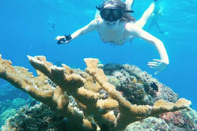 El Cielo Cozumel Snorkel Private Boat + Food + Drinks + Beach - Stop one: Palancar reef and the open-water start