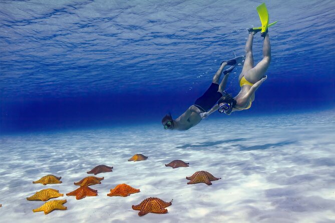 El Cielo Cozumel Snorkel Share Boat + Reefs + Food Drinks + Beach - Four water stops, four different Cozumel scenes