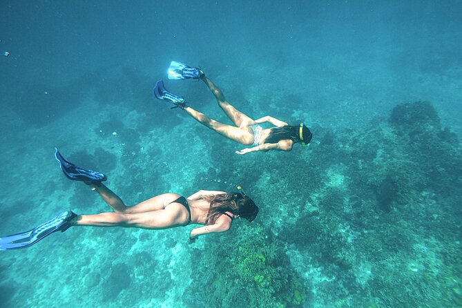 El Cielo Cozumel Snorkel Share Boat + Reefs + Food Drinks + Beach - Ceviche, guacamole, and cold drinks