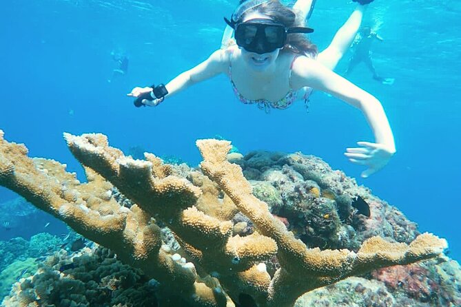 El Cielo Cozumel Snorkel Share Boat + Reefs + Food Drinks + Beach - Getting there from a cruise ship