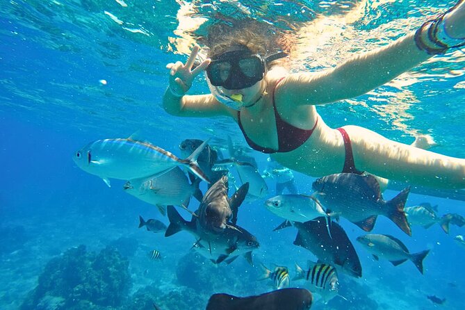 El Cielo Cozumel Snorkel Share Boat + Reefs + Food Drinks + Beach - Final call: should you book it?