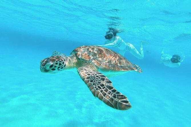 El Cielo Cozumel Snorkel Share Boat + Reefs + Food Drinks + Beach - What the small boat is really like