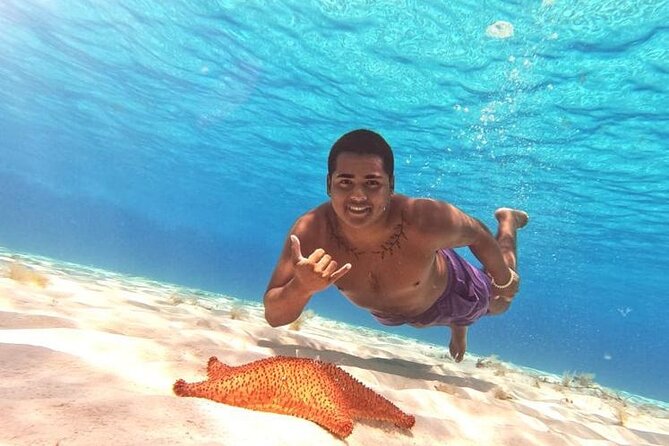 El Cielo Cozumel Snorkel tour by Catamaran - From Marina Cozumel ASIPONA to the first reef