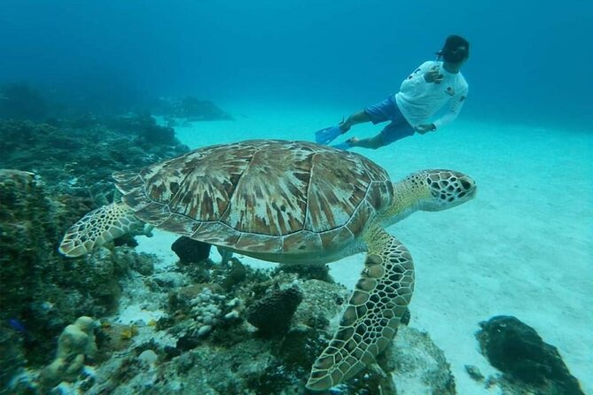 El Cielo Cozumel Snorkel tour by Catamaran - Columbia Reef and Turtle Bay: more water time