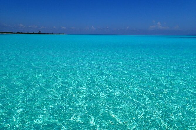 El Cielo Cozumel Snorkeling Tour - All-Inclusive - Why the El Cielo stop matters
