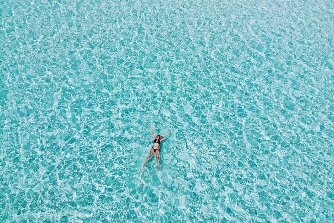El Cielo Cozumel Snorkeling Tour - All-Inclusive - Marine life you might see at Cozumel’s reefs