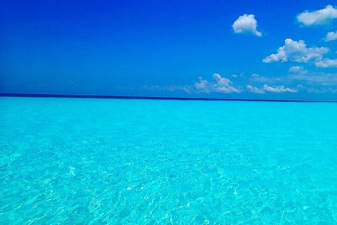 El Cielo Cozumel Snorkeling Tour - All-Inclusive - Pickup is useful, but allow extra patience