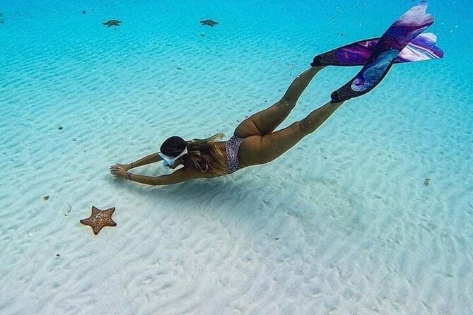 El Cielo Cozumel Snorkeling Tour - All-Inclusive - Boat size, group size, and comfort