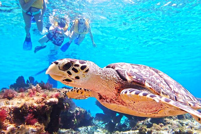 El Cielo Cozumel Snorkeling Tour - All-Inclusive - The crew can rescue a rough start