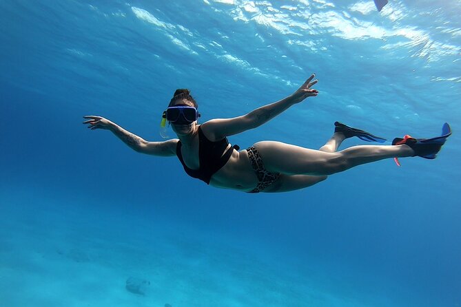 El Cielo Cozumel Snorkeling tour by Private Boat - From Marina Cozumel to the first reef