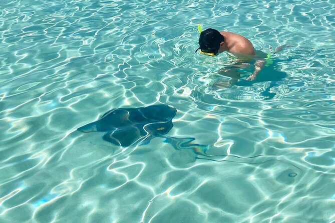 El Cielo Cozumel Snorkeling tour by Private Boat - Chankanaab and the route’s extra reef options