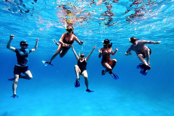 El Cielo Cozumel Snorkeling tour by Private Boat - Ceviche, floating snacks, and the lunch break