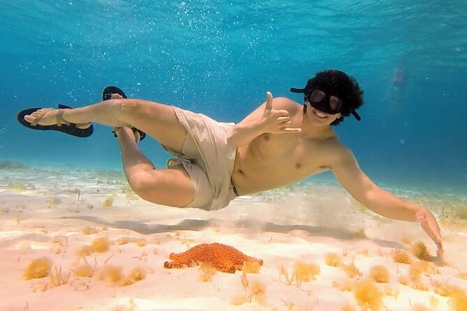 El Cielo Cozumel Snorkeling tour by Private Boat - Underwater photos and what they cost