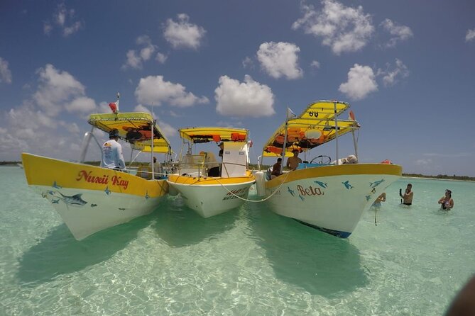 El Cielo Cozumel Snorkeling tour by Private Boat - El Cielo, the shallow-water highlight