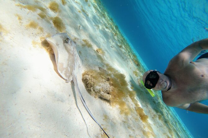 El Cielo Cozumel Snorkeling trip by Catamaran - The beach break and the beach-club confusion