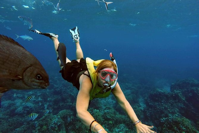 El Cielo Snorkel by Private Boat - The $499.99 price makes sense for a full group