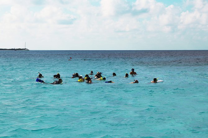 El Cielo Snorkel by Private Boat - How the day works for cruise passengers