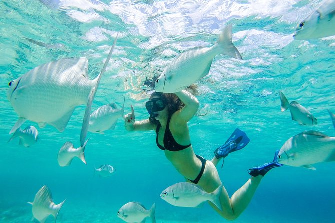 El Cielo Snorkel by Private Boat - El Cielo is beautiful, but the weather has the final say