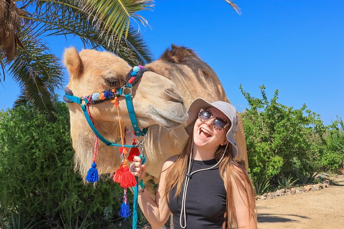 Electric Bike and Beach Camel Ride with Mexican Buffet Lunch - Mexican food, margaritas, and tequila