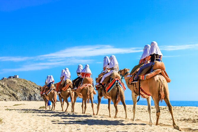 Electric Bike and Beach Camel Ride with Mexican Buffet Lunch - The practical details that shape the day