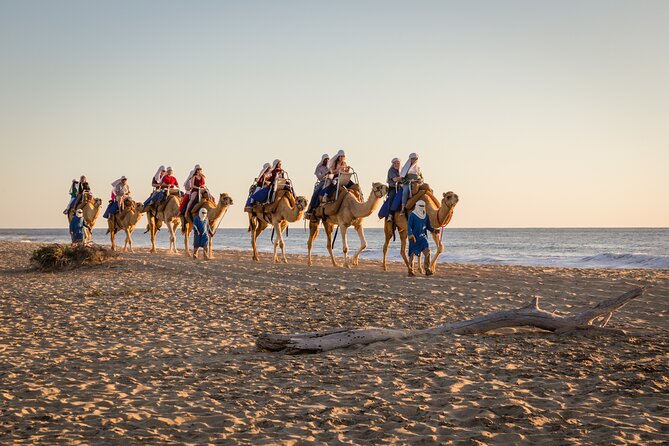 Electric Bike and Beach Camel Ride with Mexican Buffet Lunch - Getting comfortable on the electric bike
